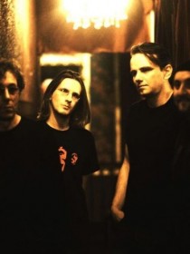 Porcupine Tree 猬上樹