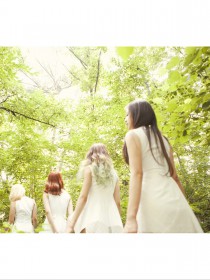 Skarf ???