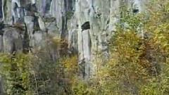 民樂群星 - 聽松