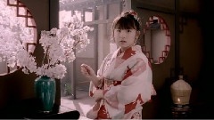 櫻花盛開