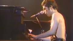 Budokan 1979 演唱會