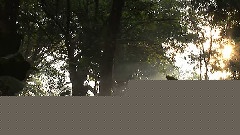 美不勝收的哥斯達黎加