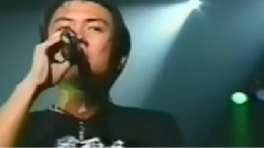 玉蝴蝶