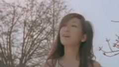 秦海璐 - 幸?；匚? width=