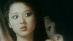 夜夜念奴嬌