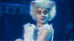 Cats(貓)