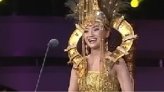 北山嶺的馬駒