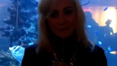 給粉絲的最新消息
