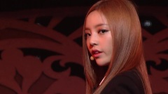 不能成為淑女
