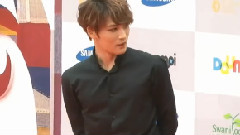 2013SDA首爾電視劇大賽 紅毯部分