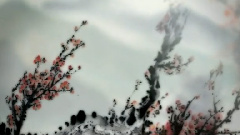 雙飛