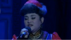 民樂群星 - 小黑馬