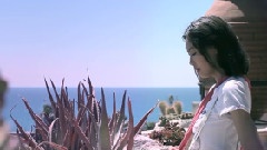 Shalom的旅程