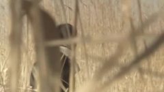 我愛你