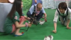 天才!志村どうぶつ園 相葉雅紀Cut 中文字幕 11/07/16