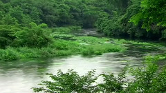 Earth Melody