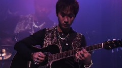 家駒夏威夷吉他SOLO