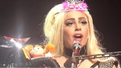 Paws Up