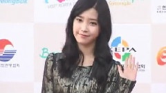 韓流夢想演唱會現場報道