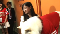 橋本環奈,制服姿で始球式! ノーバンに自己採點