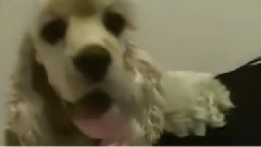謝謝你養育我