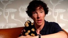Benedict Cumberbatch,Martin Freeman - 潮爺和BC為圣地亞哥漫展送來問候
