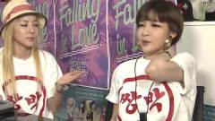 SBS 深夜TV演藝