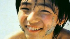 藪光十年 飯制版