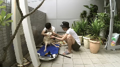 午后幫小High洗澡