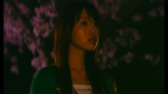櫻花櫻花想見你