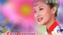 愛我中華