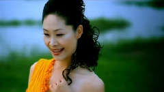 太陽花