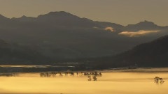 李閏珉 - River Flows In You