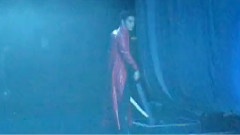 燦成武術表演