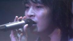 鸚鵡