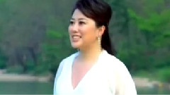 清風蓮韻