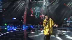 隔墻花