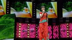 山丹丹花開紅艷艷