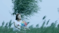愛情海的海