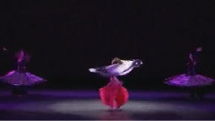 肚皮舞巨星聯臺表演 七