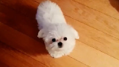 Tiffany Instagram 更新一則