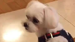 Tiffany Instagram 更新二則
