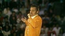 Vicente Fernández - Marioneta 官方版