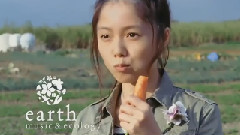 宮崎葵 CM合集