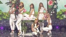 Apink - Attracted To U 現場