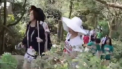 猴子對頭發的草芽,贊美
