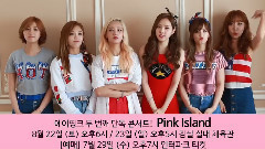 Apink 2nd Concert < Pink Island >宣傳視頻