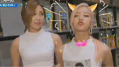 明星們的Real Life App V