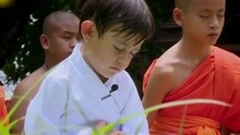 愛奇藝音樂榜 - 愛奇藝音樂榜：深扒中韓真人秀那些事兒