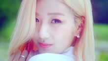 Apink - Petal 廢